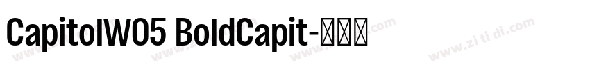CapitolW05 BoldCapit字体转换
